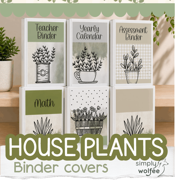 House Plants Bundle 1